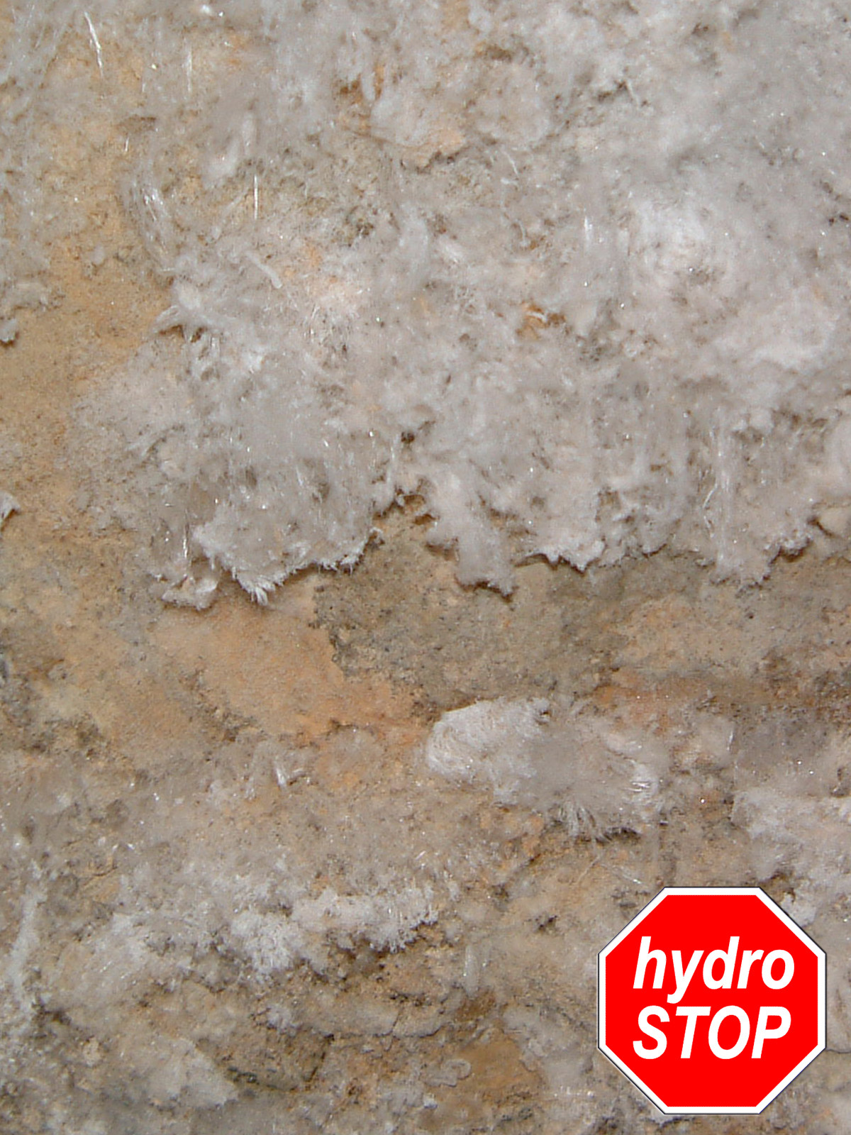 Salzkristallbildung an einer Kellerwand